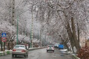 بارش برف در این ۸ استان از دوشنبه ۲۰ دی ماه ۱۴۰۰