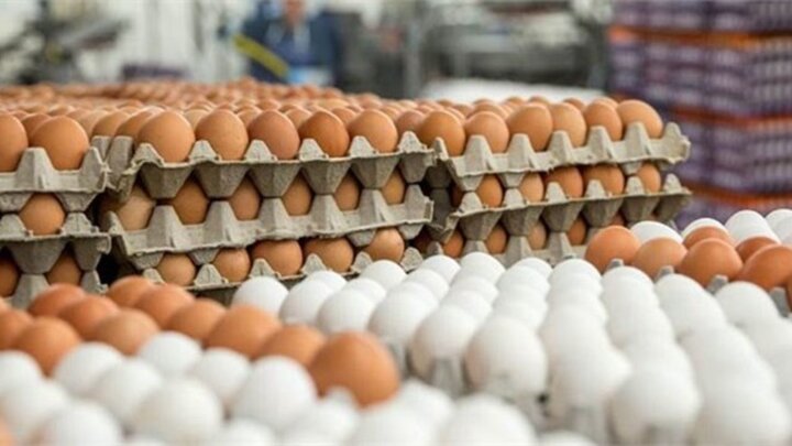 هر شانه تخم مرغ ۵۸ هزار تومان / قیمت مصوب تخم مرغ چقدر است؟