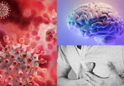 خبر ترسناک محققان: ویروس کرونا ماه‌ها در مغز و قلب زنده می‌ماند!