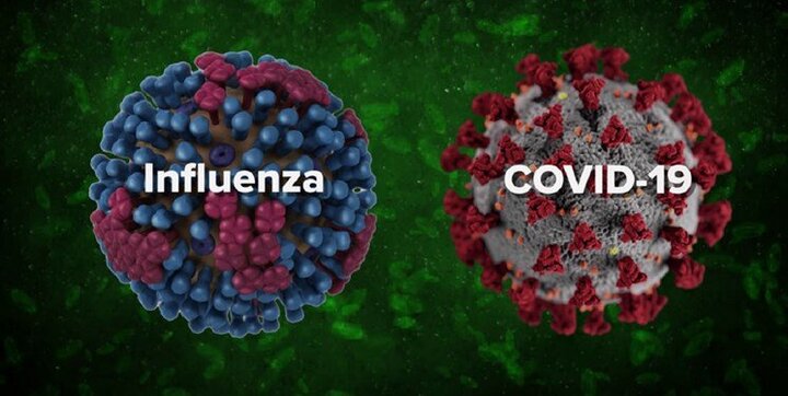«ویروس فلورونا» چیست و چه علائمی دارد؟