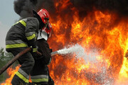 ویدیو هولناک از آتش‌سوزی خودروی پژو ۲۰۶ پس از واژگونی در مسیر پاوه به روانسر