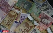 دولت برای حذف ارز ۴۲۰۰ تومانی جایگزینی ندارد