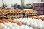 قیمت جدید انواع تخم‌مرغ در بازار / جدول
