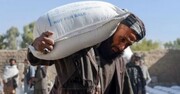 روش عجیب دولت طالبان برای پرداخت حقوق کارمندان و کارگران