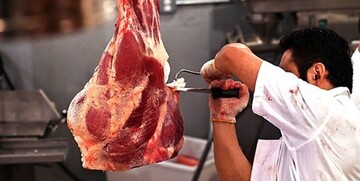 صادرات دام زنده متوقف نشده است / خبر مهم درباره قیمت گوشت و مرغ