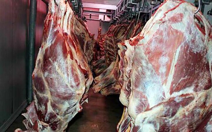 وضعیت قیمت گوشت قرمز در بازار / قیمت هر کیلو گوشت گوسفندی چند؟