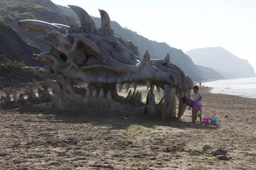 عکس / ساحلی پر از جمجمه دایناسور در انگلستان