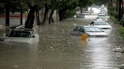 گرفتار شدن حیوانات پس از جاری شدن سیلاب در سه قلعه / فیلم