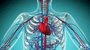 روشی جدید برای کاهش سکته قلبی