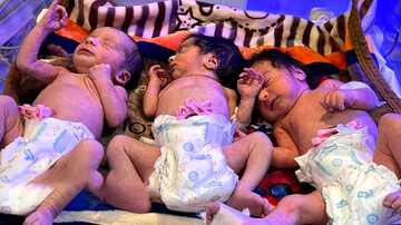 تولد نوزادان سه قلو در گچساران / عکس