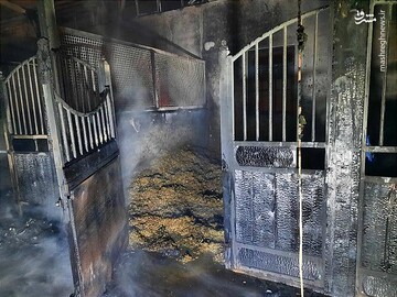آتش گرفتن اصطبل اسب‌های پارک چیتگر / تصاویر