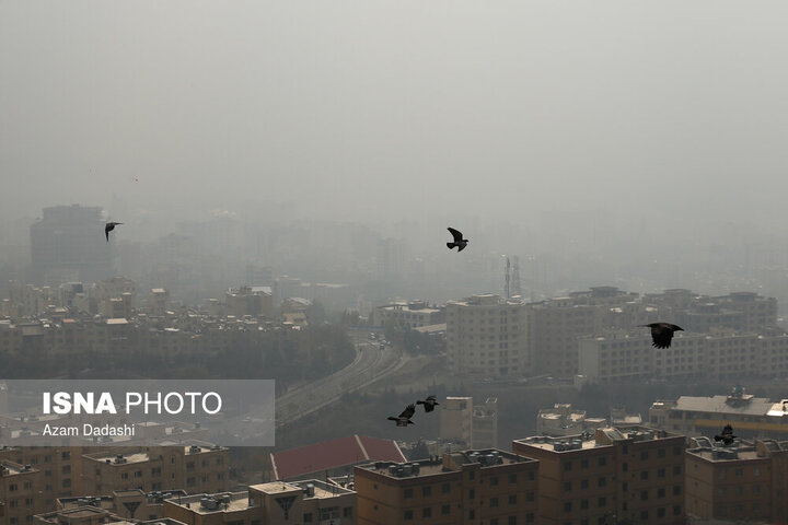 ۲۸ هزار سال از عمر تهرانی‌ها به دلیل آلودگی هوا از دست رفته است / مرگ ۱۰ درصد نوزادان به دلیل آلودگی هوا!