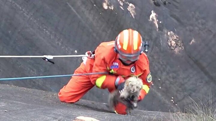 ویدیو دلهره آور از لحظه نجات سگ از لبه صخره توسط آتش نشانان