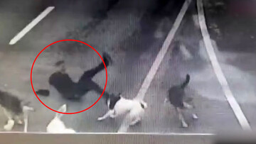 لحظه حمله وحشتناک ۶ سگ گرسنه به مرد جوان در خیابان / فیلم