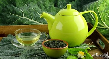 بهترین زمان برای نوشیدن چای سبز چه زمانی است؟