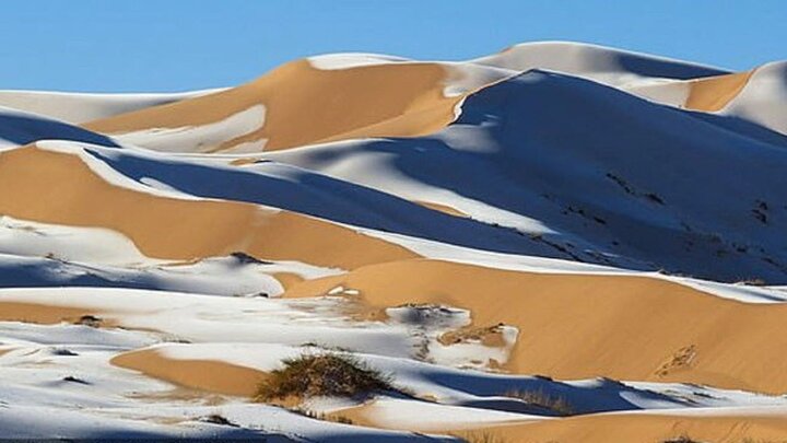 سفیدپوش شدن صحرای آفریقا درپی بارش برف/ تصاویر و فیلم