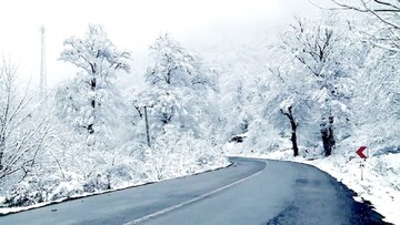 تصاویری دیدنی از نمای جاده برفی در دل جنگل‌های گلستان / فیلم