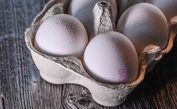 تخم مرغ در بازار دو نرخی شد / قیمت هر شانه تخم‌مرغ چند؟
