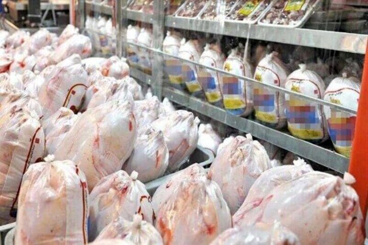 جمع‌آوری ۲۳ تن مرغ وارداتی آلوده از تهران و شهرهای دیگر؛ ماجرا چه بود؟!