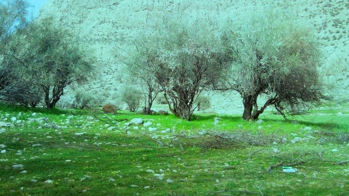 هرایرز ممسنی دره ای عمیق و پر آب در شیراز