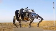 راه رفتن عجیب بزرگترین ربات چهارپای جهان / فیلم