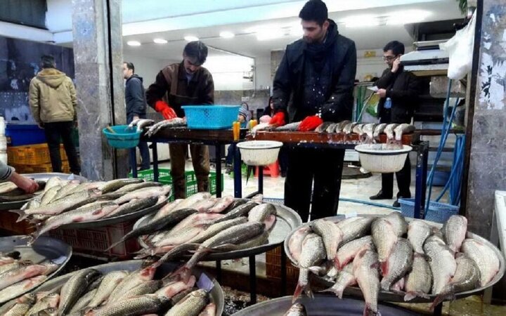 قیمت‌های نجومی انواع ماهی در بازار؛ ۲۰۰ گرم فیله ۳۰۰ هزار تومان! / جدول