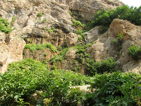 آبشار ساواشی یا تنگه واشی 