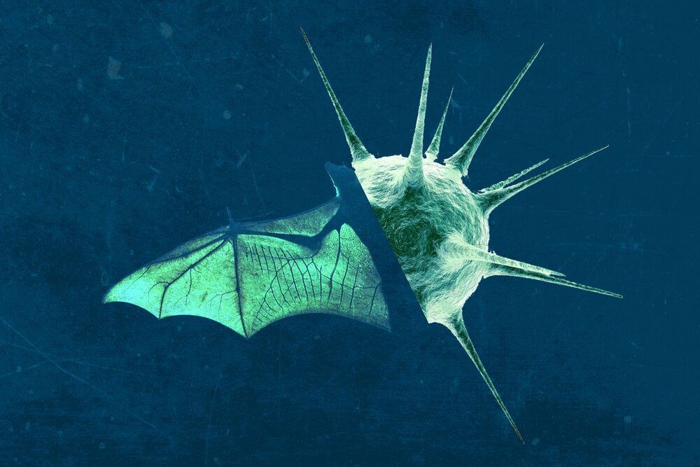 نگران نباشید، ویروس نئوکوو جهان را تهدید نمیکند!