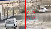 ویدیو دلخراش از زیر گرفتن سگ توسط راننده بی‌رحم در نیشابور