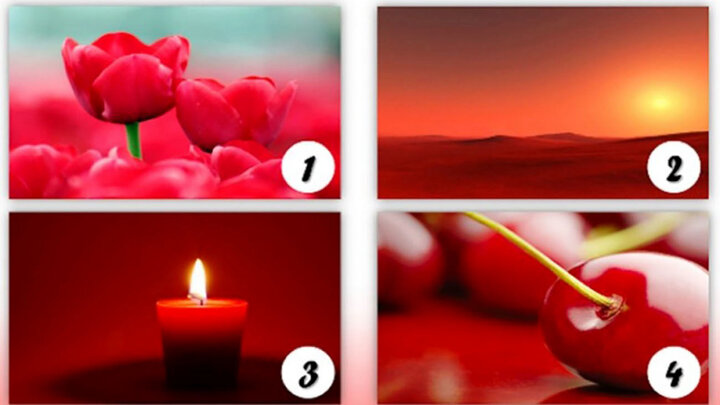 تست شخصیت: کدام رنگ قرمز از این ۴ تصویر را انتخاب می کنید؟