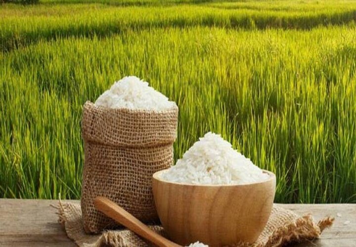 جزییات عرضه اینترنتی برنج ایرانی به قیمت مصوب اعلام شد / فیلم