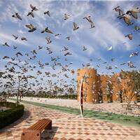 دیدنیهایی در جزیره کیش که حتما باید آنها را تجربه کنید