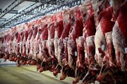 قیمت گوشت در بازار نجومی شد / دلیل اصلی گرانی گوشت، شیطنت مافیاست!