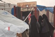 پنج زن و کودک داعشی در اردوگاه الهول کشته شدند