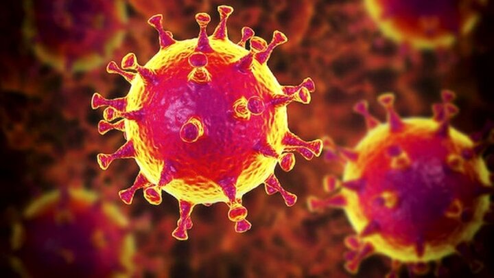 باز هم گونه جدید ویروس کرونا در جهان پیدا شد! 