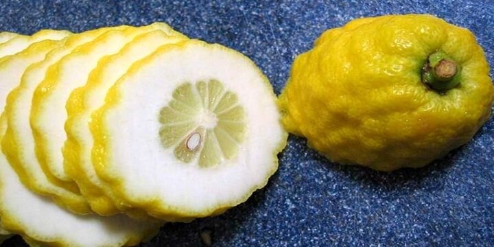 درمان نفخ شکم با مصرف این میوه