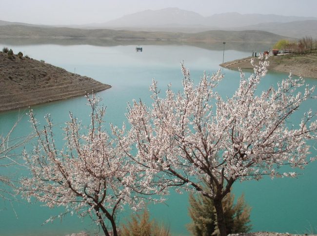 دهکده زاینده رود، دهکده‌ای سرسبز در اصفهان 
