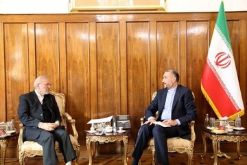 دیدار امیرعبداللهیان با وزیر محمود احمدی نژاد / عکس