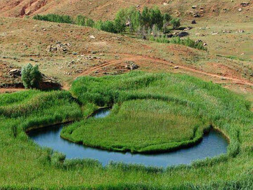 گردشگری در جزیره چمنی شناور بر روی آب