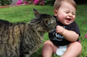 ویدیو خنده دار از اقدام جالب کودک برای سرقت خوراکی با همکاری یک گربه