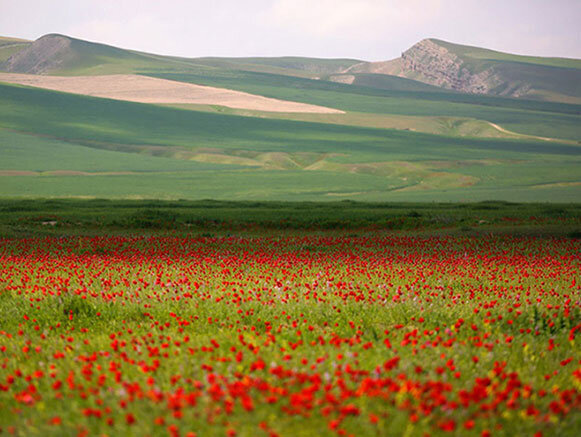  درگز دره‌ای در جوار ترکمنستان