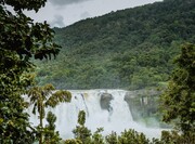 آبشار آتیراپیلی در کرالا آبشاری شگفت‌انگیز در جنوب هند