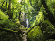 آبشار ترز لفور بهترین مقصد گردشگری در مازندران