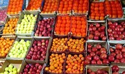 موج جدید گرانی میوه و سبزی در بازار/ شلغم ۲۵ هزار تومان