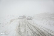 برف و کولاک در جاده‌های زنجان / از سفرهای غیرضروری خودداری کنید