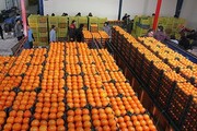 آغاز ذخیره‌سازی ۱۲۰۰ تن سیب و پرتقال برای شب عید در هرمزگان