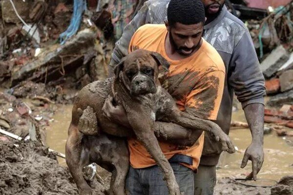 تصاویر دردناک از وقوع سیل وحشتناک در برزیل | افزایش آمار قربانیان فاجعه بارندگی به ۹۴ نفر / عکس 