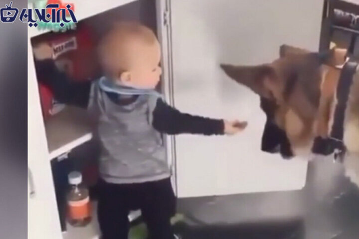 ویدیو خنده‌دار از سرقت یک کودک به همراه سگش از انبار آذوقه