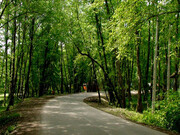 کشپل پارکی در حاشیه زیبای لاویج رود
