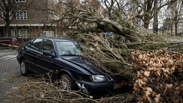 ویدیو وحشتناک از لحظه سقوط درختان در انگلستان در پی طوفان